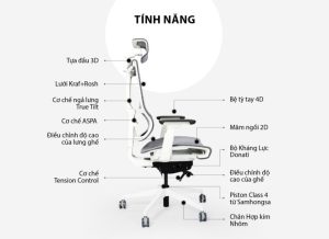 6 lý do nên chọn ghế công thái học cho sức khoẻ dân văn phòng